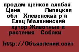 продам щенков алабая › Цена ­ 10 000 - Липецкая обл., Хлевенский р-н, Елец-Маланинский хутор Животные и растения » Собаки   